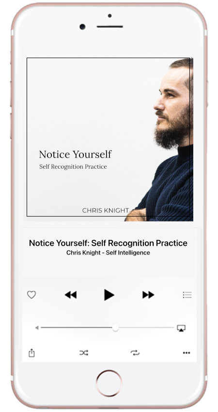 Self Recognition Practice Chris Knight Self Intelligence